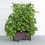 EarthBox Vertical Gardening Bundle
