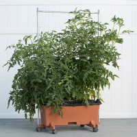 EarthBox Vertical Gardening Bundle
